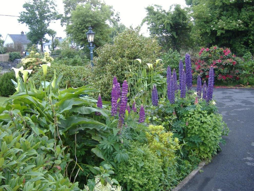 Riverwalk House B&B Oughterard Εξωτερικό φωτογραφία