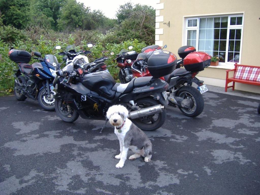 Riverwalk House B&B Oughterard Εξωτερικό φωτογραφία
