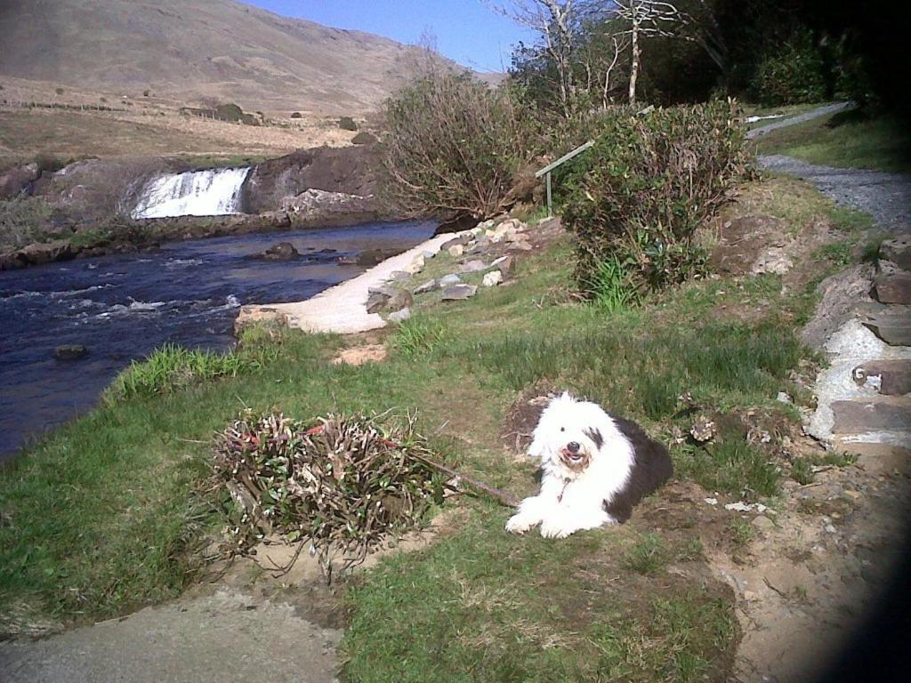 Riverwalk House B&B Oughterard Εξωτερικό φωτογραφία